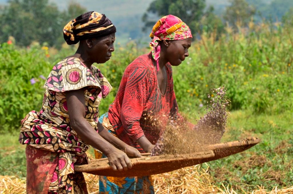 9046923519_bdb486ea75_o-1024x678