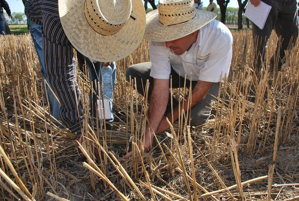 governance foundation image 2