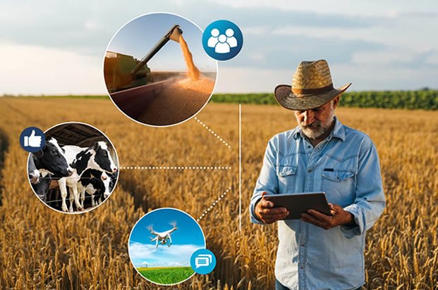 farmer holding a tablet and looking at images