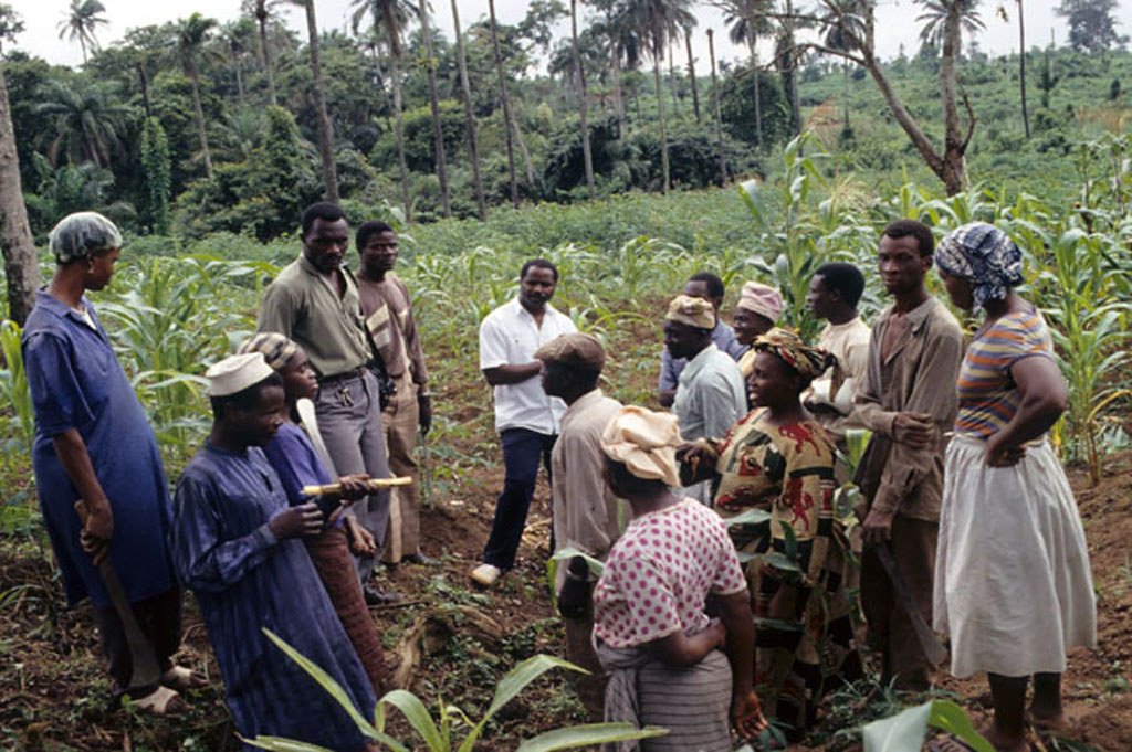 african farmers talking in the field