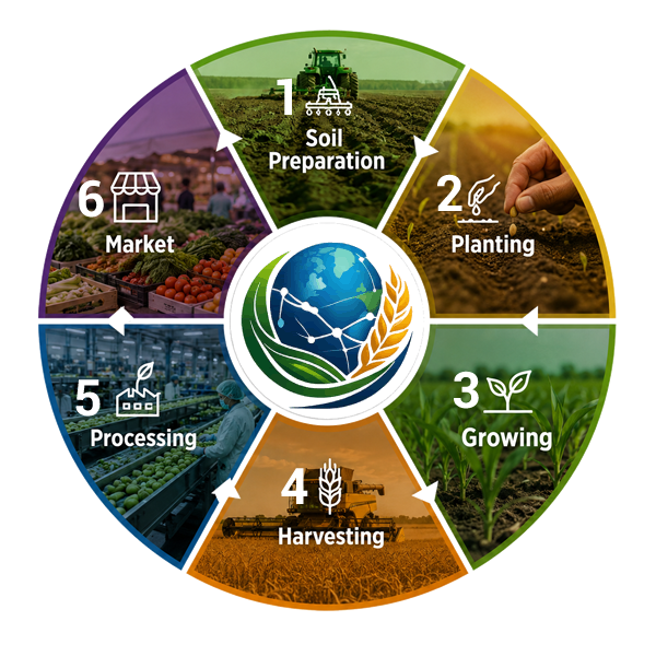IFU Agricultural Cycle